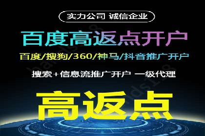 百度竞价代理的运营策略与成功案例分析